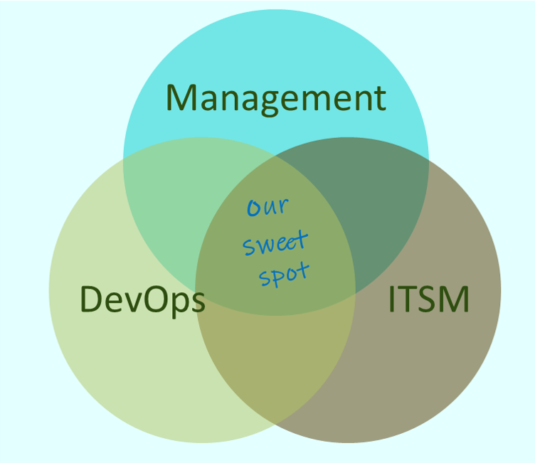 Venn diagram of Two Hills areas of expertise